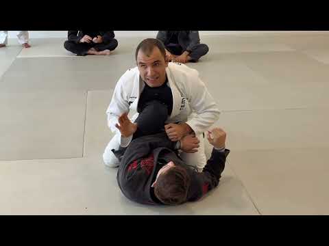 3 Z-GUARD SCRAPS 😱