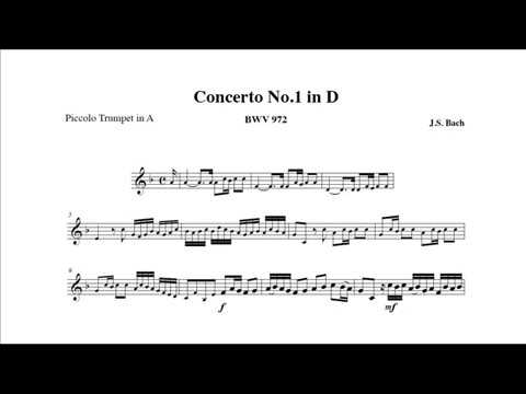 J.S. Bach: Concerto BWV 972 (Matthias Höfs, trumpet) I