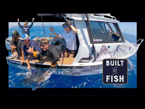 MAGICAL Offshore Adventure fishing for Marlin in New Zealand!