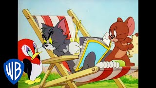 Tom & Jerry  Jerry and the Baby Woodpecker  Cl