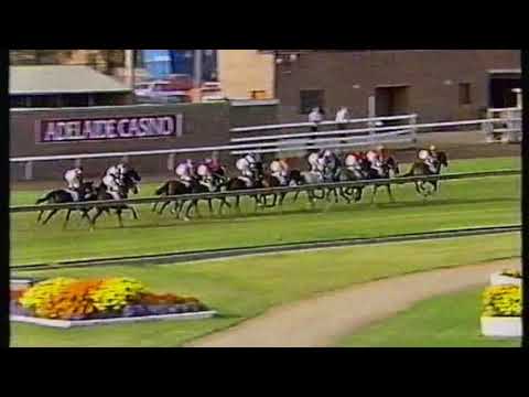 1993 BMW/Tancred - Kaaptive Edition