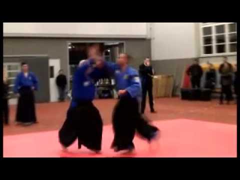 Realaikido 3