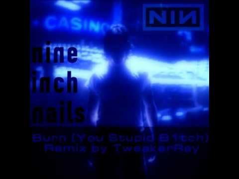 Nine Inch Nails - Burn (You Stupid B1tch ReMix by TweakerRay)