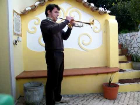 toque de entrada de toiros - joao ribeiro