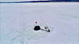 Ice Fishing with Tip UPs! But I get to SET THE HOOK!