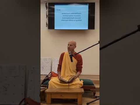 Vaishnava Relationships Part 1 - by HH Sri Krishna Chaitanya Swami Maharaj