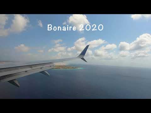 BONAIRE TRAVEL VLOG 2020
