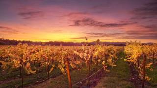 Aesop Rock - the mayor and the crook