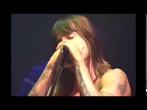 Red Hot Chili Peppers - Covers The RAMONES