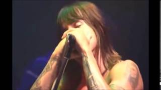 Red Hot Chili Peppers - Covers The RAMONES