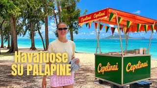 HAVAJUOSE GAMINAME CEPELINUS