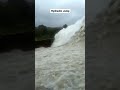 HYDRAULIC JUMP OPEN CHANNEL FLOW Short Shortvideo