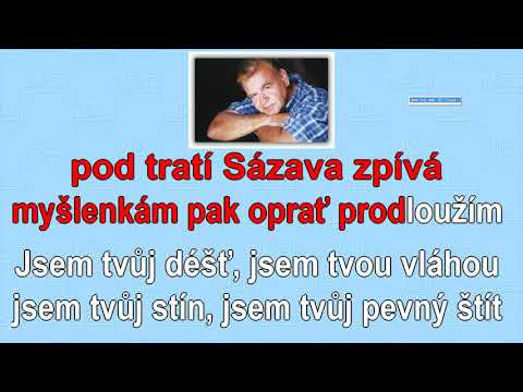 FRANTIŠEK NEDVĚD - Ukázky videokaraoke