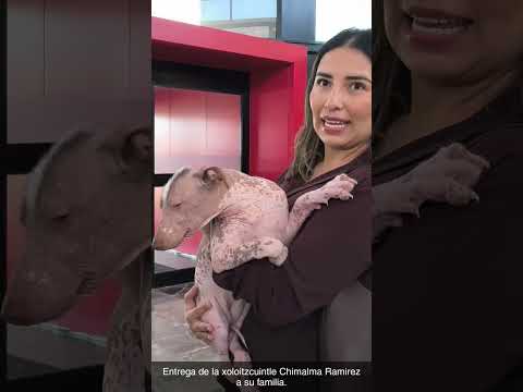 Entrega de Chimalma Ramírez a su familia en Tijuana