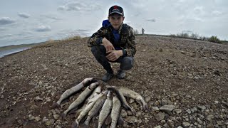Озеро серебряное камышлов рыбалка