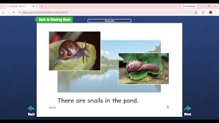 Level B.Pond Life