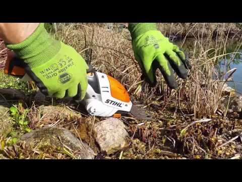 Teichpflege im Frühling - Abgestorbene Teichbepflanzung entfernen