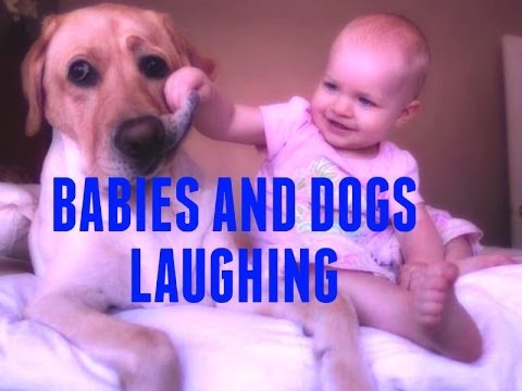 Babies and Dogs Laughing Compilation , So funny!