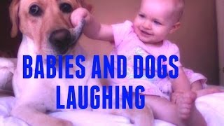 Babies and Dogs Laughing Compilation , So funny!