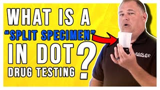 What is a Split Specimen in DOT Drug Testing