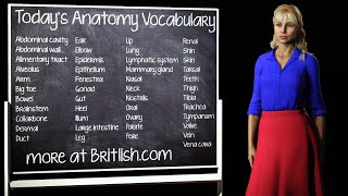 Anatomy Vocabulary for Medical Professionals - Video Lesson - from The Britlish Library