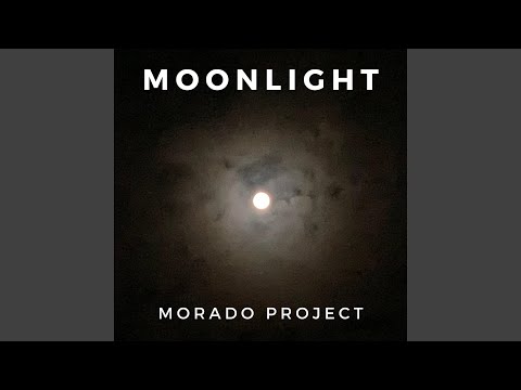 ドワーフローズ 'アプリコット クレメンタイン' 植物