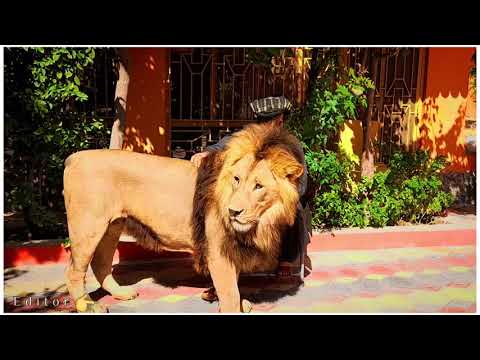 Haji sufi Khudai_dad ❣