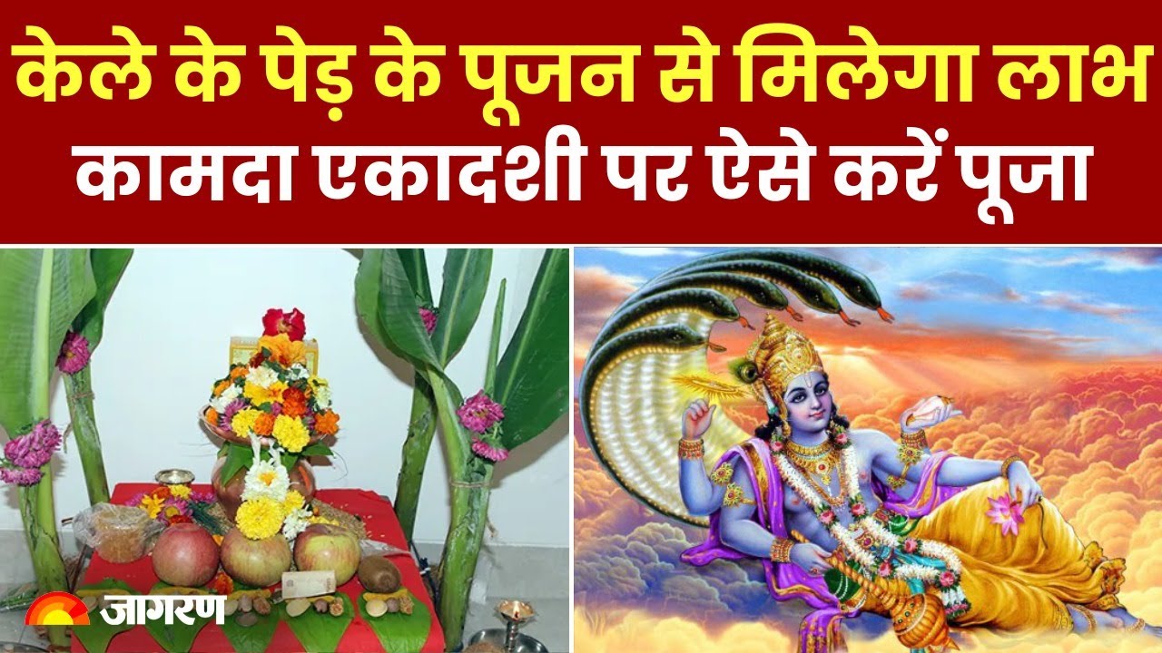 Kamada Ekadashi 2024: केले के पेड़ के पूजन से मिलेगा अद्भुत लाभ, जानिए कैसे करें इसकी पूजा