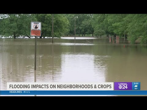 'We've got a real catastrophe on our hands' | Flooding impacting Clarksdale, Mississippi, neighborho