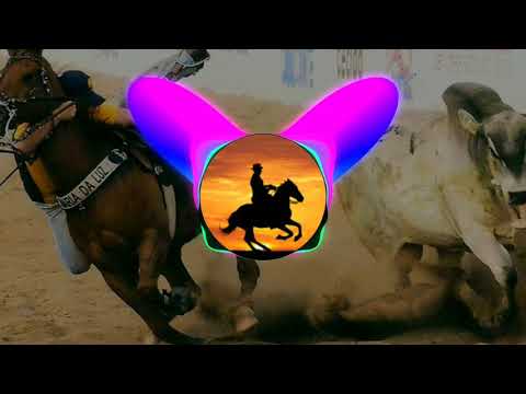 Zé vaqueiro - culpa da bebida 💥🎶🐎