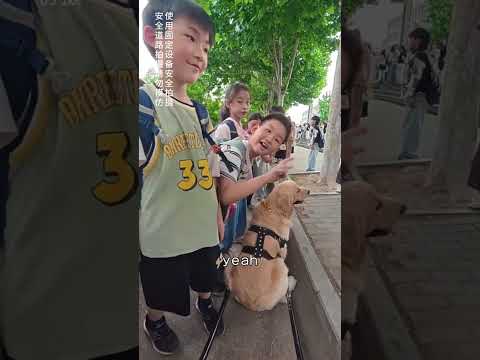 रानी आज फिर से चिंटू को स्कूल ले गयी 😂 #animal #dog #animallovers