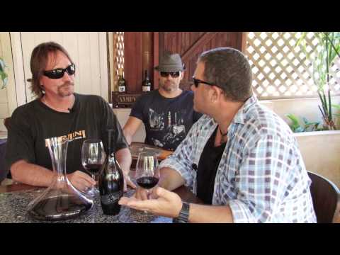 BOGAN'S GUIDE TO WINE - MOLLYDOOKER THE VELVET GLOVE SHIRAZ 2011