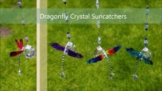 Dragonfly Crystal Sun Catchers Nymboida Crystals