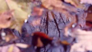 Heart Grows Old - Future Islands