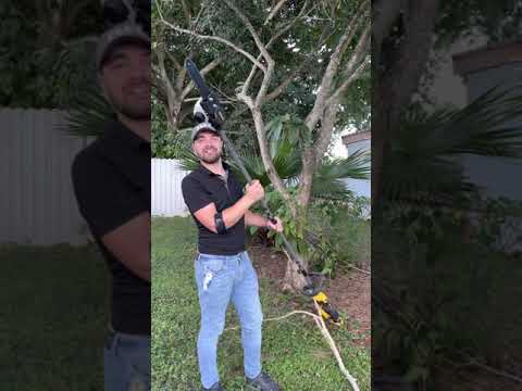 Dewalt Flexvolt Powerhead and Pole Saw Attachment