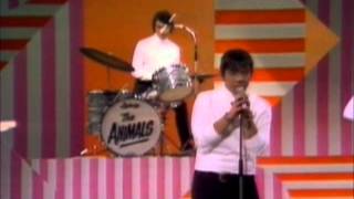 THE ANIMALS - DON´T BRING ME DOWN