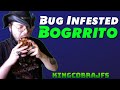 Cobra Eats Bug Infested Bogrrito