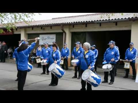 Naturfanfahrenzug Wolfen