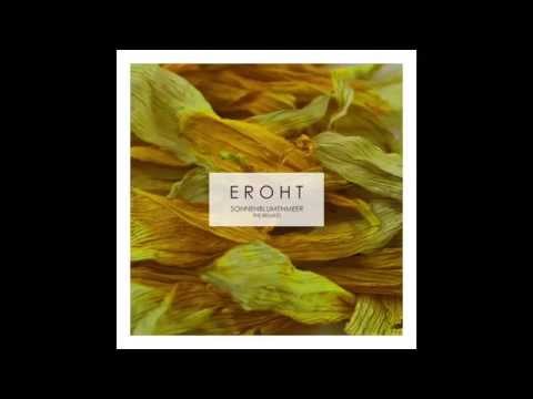 Eroht - Sonnenblumenmeer (Thomas Gwosdz Mix)