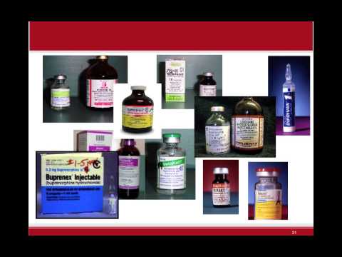 Use of Dexmedetomidine in Shelter Anesthesia Injectable Combinations - conference recording