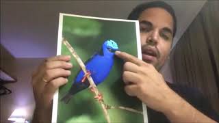 Bate-papo ao Vivo (Gravado)- "Tratamento de imagens, a outra face da fotografia."