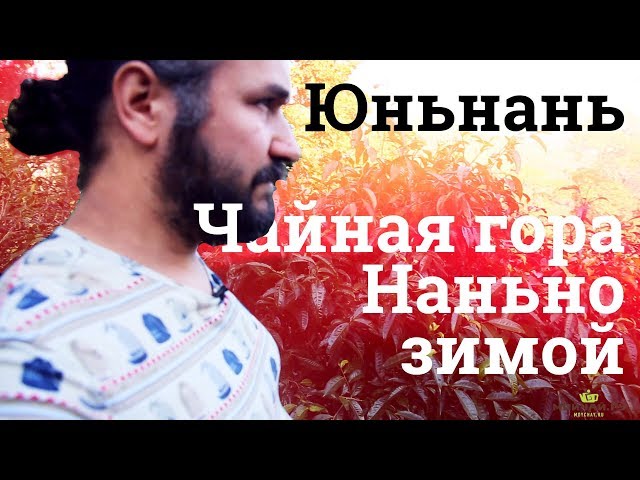 Чайная деревня Банпочжай на горе Наньно, провинция Юньнань