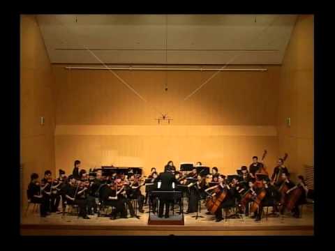 1812 Overture - Fiddle String Orchestra (amateur)