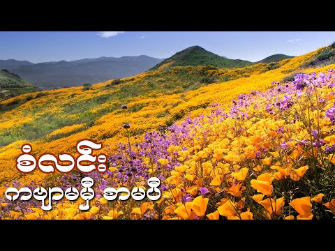ကဗျာမမှီစာမပီ - စံလင်း ( San Lin ) | Lyrics