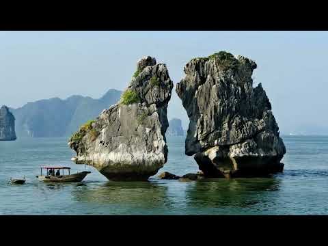 Let Me Try Again  - Wykonawca  - Roman Szczepaniak Saxophone Tenor