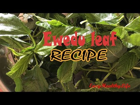 Ewedu leaf Recipe Jute Leaves Saluyot leaves how to cook