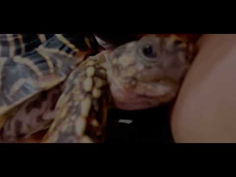 Meri chiki  🐢 ke expression dekhiye