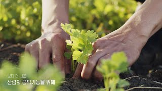 임업직불제도 홍보