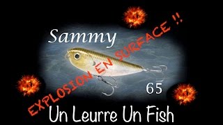 Miniature de la vidéo Brochet au stickbait Sammy