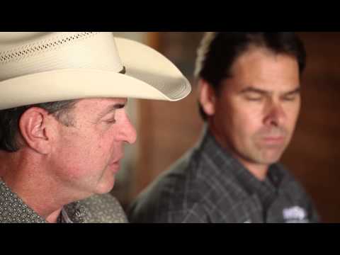 YouTube video about: How to increase horse appetite?